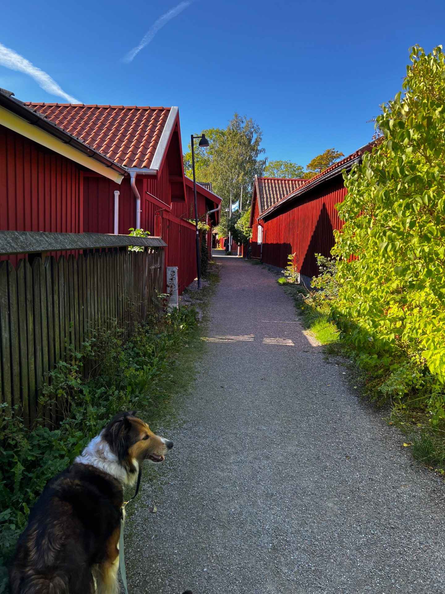 Trosa. Borta i Världens Ände. Anci Lampe